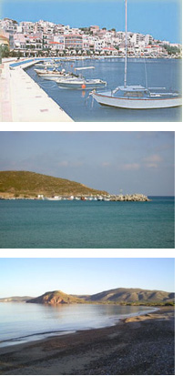 Sitia